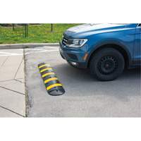 Speed Bump Kit, Rubber, 4' L x 11" W x 2" H Brunswick Fyr & Safety