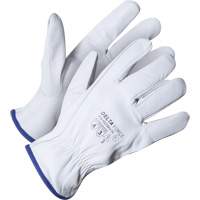 Delta Force Driver's Glove, 8/Medium, Grain Goatskin Palm, Kevlar&reg; Inner Lining Brunswick Fyr & Safety