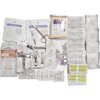 Shield™ Basic First Aid Kit Refill, CSA Type 2 Low-Risk Environment, Small (2-25 Workers) SHJ863 | Brunswick Fyr & Safety