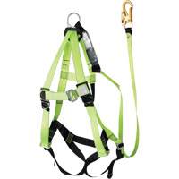 FBH-10000A6440-4 4' Class A Harness & Lanyard with 350 lbs. Capacity, Harness/Lanyard Combo Brunswick Fyr & Safety