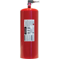 Automatic Heat Actuated Multi-Purpose Fire Extinguisher with Horizontal Mount, ABC, 75.7 L Capacity Brunswick Fyr & Safety