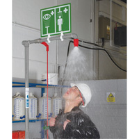 Combination Shower with Closed ABS Bowl & Top Inlet, Pedestal Brunswick Fyr & Safety