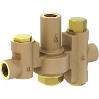 Mid-Capacity Thermostatic Mixing Valve for Individual Eye/Face Wash Stations, 2 - 35.1 GPM Brunswick Fyr & Safety