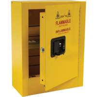 Mini Flammable Safety Cabinet, 2 Gal., 1 Door, 17" W x 22" H x 8" D Brunswick Fyr & Safety