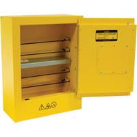 Mini Flammable Safety Cabinet, 2 Gal., 1 Door, 17" W x 22" H x 8" D Brunswick Fyr & Safety