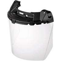 BOLT Task Full Face Shield, Polycarbonate, Pinlock Suspension Brunswick Fyr & Safety