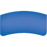 Lentille ext&eacute;rieure Bullard GenVX PETG Brunswick Fyr & Safety