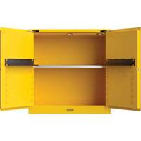 Armoire de s&eacute;curit&eacute; pour produits inflammables Utili-Guard+, 30 gal., 1 Porte(s), 43" La x 44" h x 22" p Brunswick Fyr & Safety