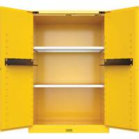 Armoire de s&eacute;curit&eacute; pour produits inflammables Utili-Guard+, 45 gal., 2 Porte(s), 43" La x 65" h x 22" p Brunswick Fyr & Safety