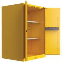 Armoire de s&eacute;curit&eacute; pour produits inflammables Utili-Guard+, 45 gal., 2 Porte(s), 43" La x 65" h x 22" p Brunswick Fyr & Safety