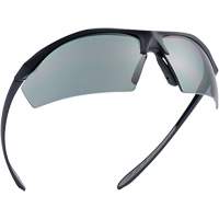 Sentinel Ballistic Protection Safety Glasses, Smoke Lens, Anti-Fog/Anti-Scratch/Polarized, ANSI Z87+ Brunswick Fyr & Safety