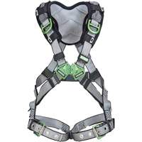 Harnais de s&eacute;curit&eacute; complet V-Fit, Certifi&eacute;e CSA, Classe AEP, Standard, Cap. 400 lb Brunswick Fyr & Safety
