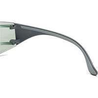 Adapt Lite Safety Glasses, Indoor/Outdoor Lens, Anti-Fog/Anti-Scratch, ANSI Z87+/Meets/Exceeds CSA Z94.3 Brunswick Fyr & Safety