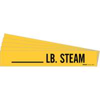 "LB. Steam" Pipe Markers, Self-Adhesive, 2-1/4" H x 2-3/4" W, Black on Yellow Brunswick Fyr & Safety