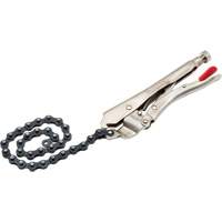 Locking Chain Clamp with Chain Brunswick Fyr & Safety