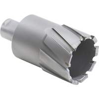 Couteau annulaire avec coupe &agrave; &acirc;me, Diam&egrave;tre de 1/2", Carbure, Profondeur de la coupe de 1-1/2", Tige 3/4" Brunswick Fyr & Safety