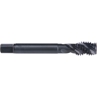 Taraud &agrave; cannelure en spirale 45°, Acier rapide au cobalt, Filet de 6-32, 2" l Brunswick Fyr & Safety