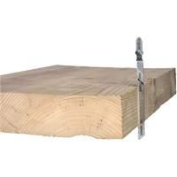 Wood Cutting Jigsaw Blade, High-Carbon Steel, T-Shank, 4" L, 10 TPI Brunswick Fyr & Safety
