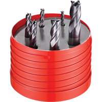 922 Cutter Set, 6 Pieces, Carbide Brunswick Fyr & Safety