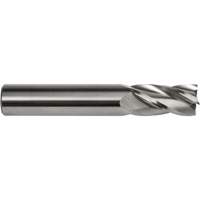 Fraise embout S134, 1/8" dia., 1-1/2" lo, 4 cannelures, 1/8" tige, Carbure Brunswick Fyr & Safety