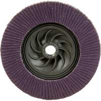 Disque &agrave; lamelles &agrave; changement rapide 769F, 5" x 5/8"-11, Type 27, Grain 120+, C&eacute;ramique Brunswick Fyr & Safety