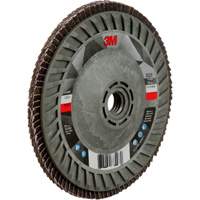 Disque &agrave; lamelles &agrave; changement rapide 769F, 5" x 5/8"-11, Type 29, Grain 120+, C&eacute;ramique Brunswick Fyr & Safety