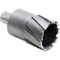 Outil de coupe annulaire, Diam&egrave;tre de 27,5 mm, Carbure, Profondeur de la coupe de 4" Brunswick Fyr & Safety