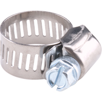 Hose Clamps - Stainless Steel Band & Zinc Plated Screw, Min Dia. 4", Max Dia. 7" TLY183 | Brunswick Fyr & Safety