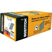 Stick Framing Nails Brunswick Fyr & Safety