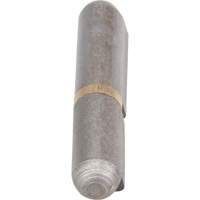 Weld-On Hinge, 0.315" Dia. x 1.969" L, Mild Steel w/Fixed Steel Pin TTV434 | Brunswick Fyr & Safety