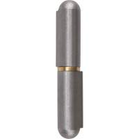 Weld-On Hinge, 0.453" Dia. x 2.756" L, Mild Steel w/Fixed Steel Pin TTV435 | Brunswick Fyr & Safety