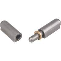 Weld-On Hinge, 0.512" Dia. x 3.15" L, Mild Steel w/Fixed Steel Pin TTV436 | Brunswick Fyr & Safety