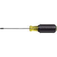 Tournevis Klein a/manche caoutchout&eacute;-Tournevis Torx &agrave; tige ronde Brunswick Fyr & Safety