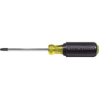 Tournevis Klein a/manche caoutchout&eacute;-Tournevis Torx &agrave; tige ronde Brunswick Fyr & Safety