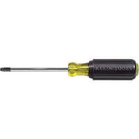 Tournevis Klein a/manche caoutchout&eacute;-Tournevis Torx &agrave; tige ronde Brunswick Fyr & Safety