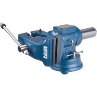 Multi-Purpose Bench Vise, 5" Jaw Width, 3-1/10" Throat Depth Brunswick Fyr & Safety