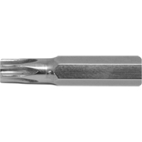 Stubby Multi-Bit Screwdriver -Replacement Bit, Torx, 15, 1/4" Drive Brunswick Fyr & Safety