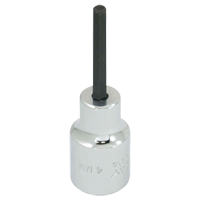 Replacement Bit, 5 mm x 1-1/5" L, 3/8" Drive Brunswick Fyr & Safety