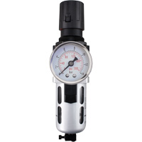 Modular Air Filter/Regulator (Gauge Included), 1/4" NPT, 145 PSI, 0.3 fl. oz. Capacity Brunswick Fyr & Safety