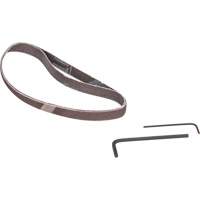 Ponceuse &agrave; bande, 13" - 3/8", 16 pi³/min, 1/4" NPTF Brunswick Fyr & Safety