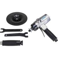 Vertical Sander, 7" Dia., 1/4" NPTF Inlet, 4500 RPM Brunswick Fyr & Safety