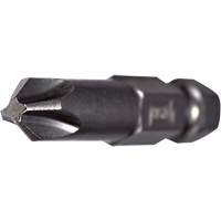Embout pour outil &eacute;lectrique, Phillips, Embout #2, Prise 1/4", Longueur 2-3/4" Brunswick Fyr & Safety