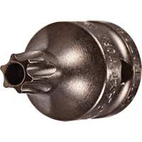 Socket Bit, Torx&reg; Tamper, 8 x 3/4" L, 1/4" Drive Brunswick Fyr & Safety