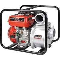 Gas Powered Water Pump, 196 cc, 4-Stroke OHV, 7.0 HP UAJ264 | Brunswick Fyr & Safety
