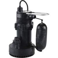 Pompe de puisard de série 5.5, 35 gal./min, 115 V, 3,5 A, 1/4 CV UAK135 | Brunswick Fyr & Safety