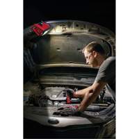 Projecteur d'illumination montable M12 ROVER, DEL, 250 W, 1000 lumens Brunswick Fyr & Safety