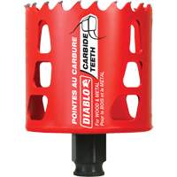 Scie cloche pour bois et m&eacute;tal, 2-11/16", Profondeur de la coupe 2-3/8", Carbure Brunswick Fyr & Safety