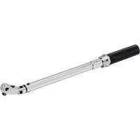 Micrometer Torque Wrench, Click, 3/8" Square Drive, 10.17 - 105.1 N.m/5 - 75 ft-lbs. Brunswick Fyr & Safety