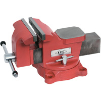 Swivel Base Mechanic's Vise, 6" Jaw Width, 3" Throat Depth Brunswick Fyr & Safety