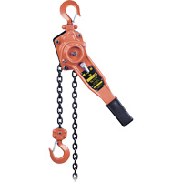 KLP-75-10 KLP Series Heavy-Duty Lever Chain Hoist, 10' Lift, 1500 lbs. (0.75 tons) Capacity Brunswick Fyr & Safety